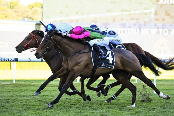 Collett family strikes gold at Randwick