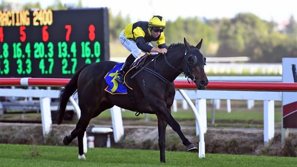 Patterson expects improved Queensland showing