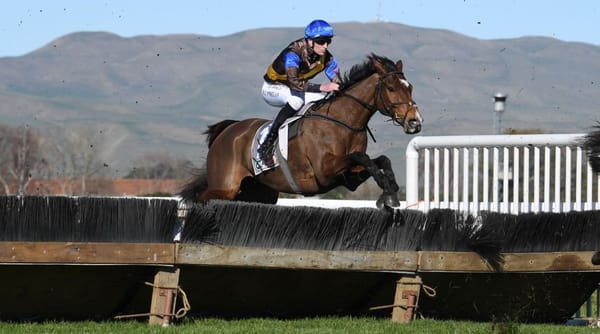 The Cossack to run at Hastings