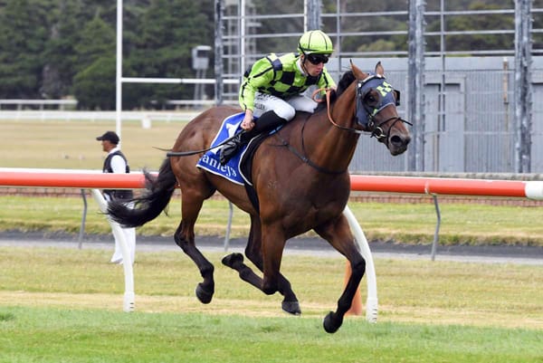 Rathbone set for a big day at Hastings