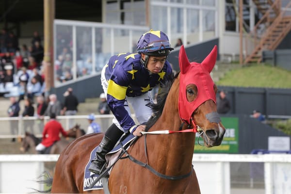 Waimate Cup for Zelenski