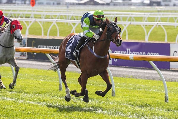 New rider for Athene at Ashburton