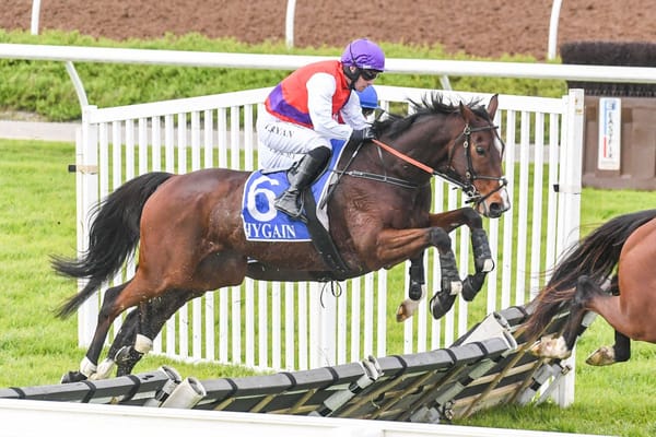 Bedford a jumps star