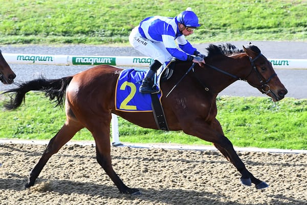 100 percent strike rate for local trainers