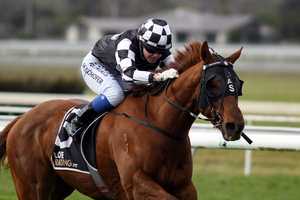 Sharrock duo set for Te Rapa