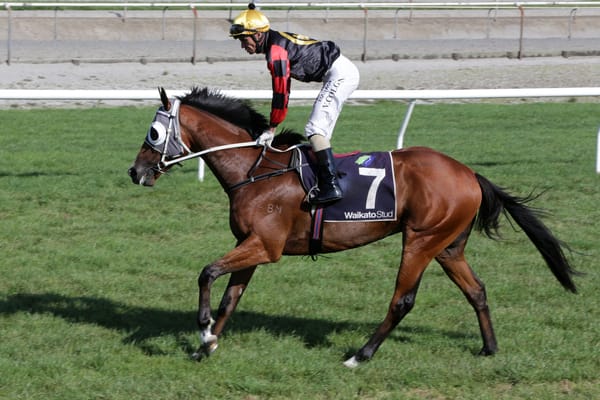 Kiwi import excites Price