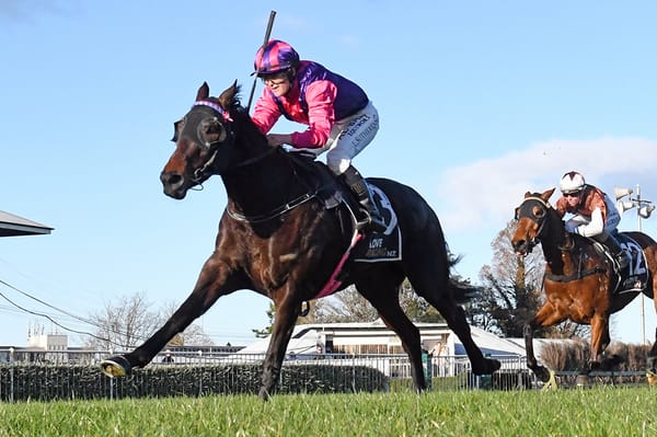 Bambry biding time with Flower of Wanaka