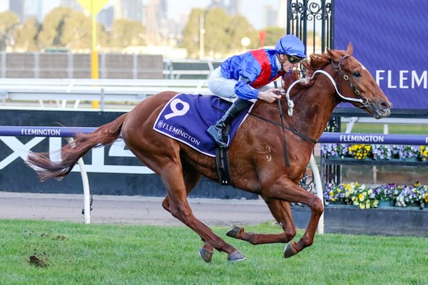 Bright future for Flemington winner Golden Path