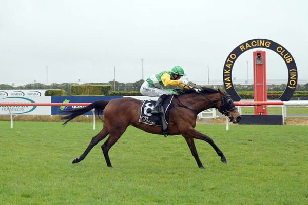 Stakes performers fresh off the racetrack in National Online Breeding Stock Sale