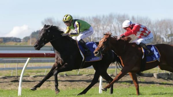 Leedox back in the winners circle