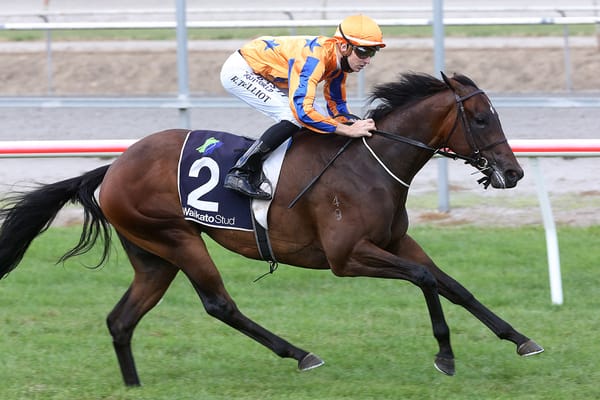 Te Akau stars step out at trials