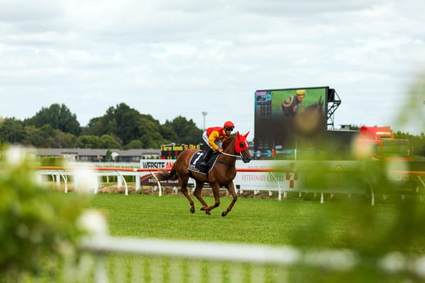 Momentous Week for Waikato Thoroughbred Racing