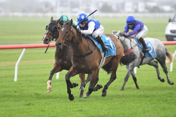 On the Prowl eyeing bigger targets