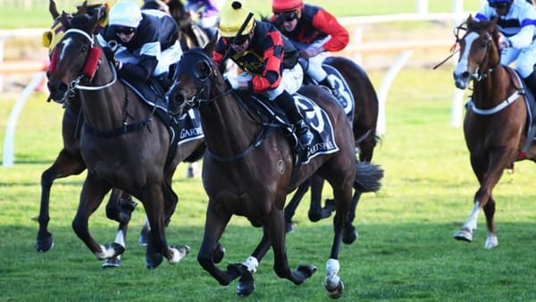 Popthebubbles pops up at Tauranga