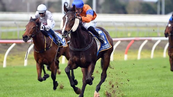 Clotworthys chasing juvenile black-type