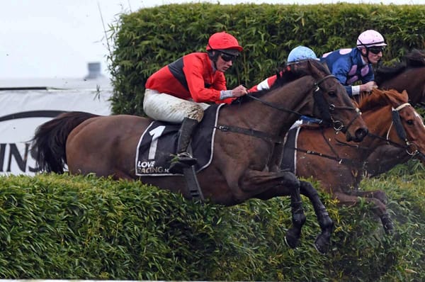 Hastings trainers hoping to round out season in style