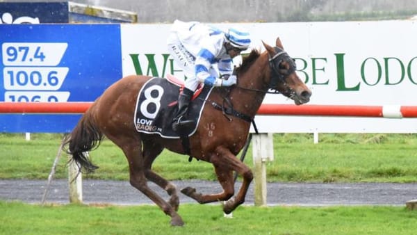 Apprentice on the board with Wingatui win