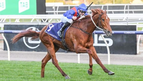 Big spring ahead for Golden Path