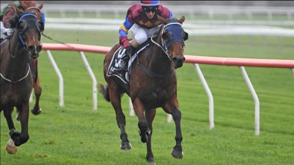 Wheeler looking forward to home meeting