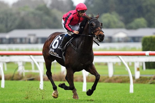 In form Seajetz looking for Interprovincial success