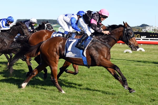 Secret Amour looking for breakthrough stakes win