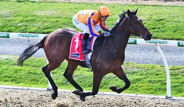 Stonybreck dominant at Cambridge