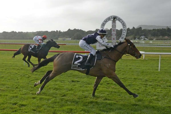 Strides adds to his winning haul