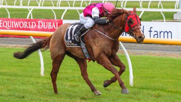Trainer looking forward to rescheduled Oamaru meeting