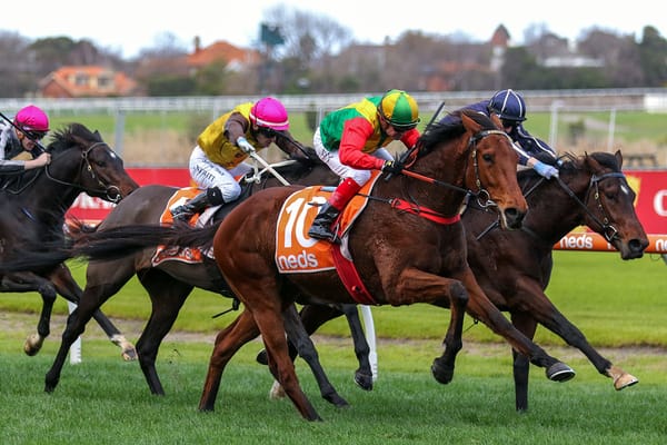 Torranzino goes back-to-back