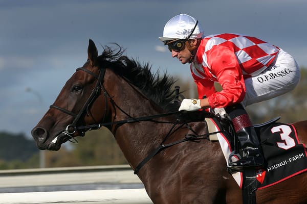 Kingsclere chasing winter feature