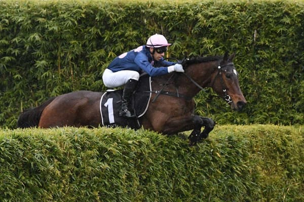 Whiskey Tango aiming for further success at Te Rapa