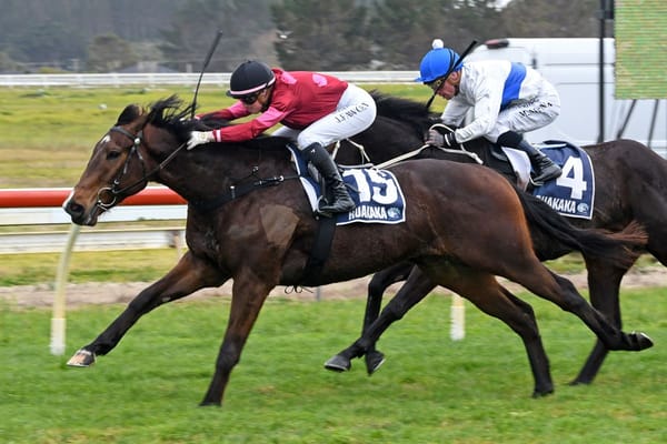 Strong group of three-year-olds for Rae