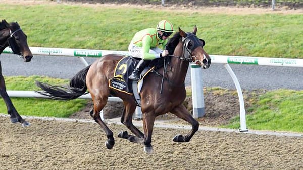 Brontes Gold continues winning ways