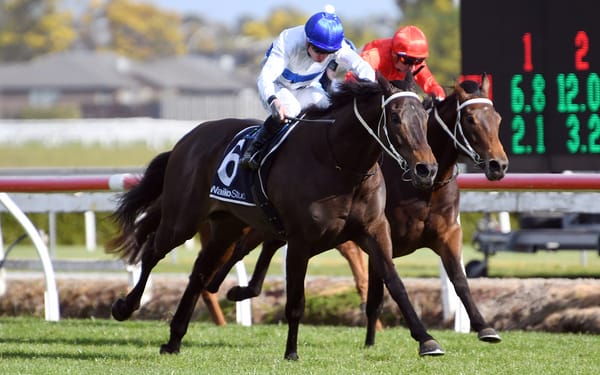 Marsh duo shine at Te Rapa