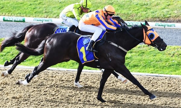 New training partnership starts season with a win