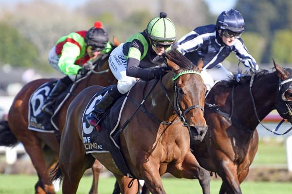 Phelan team ready for weekend assignments