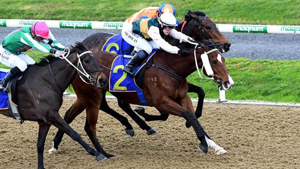 Good Brothers rewards connections with Cambridge win