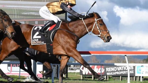 Hill guesses correctly with Guessing Game