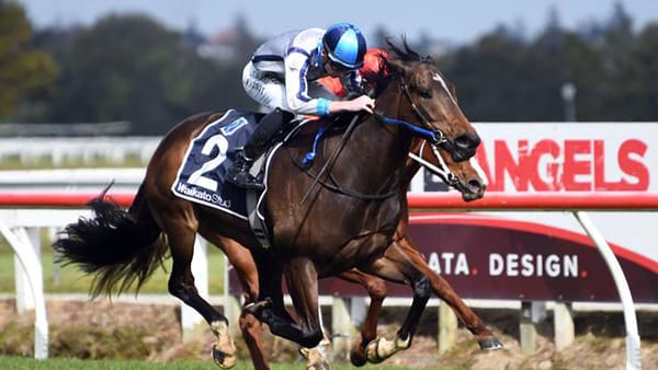 Debut victory for Lupo Solitario