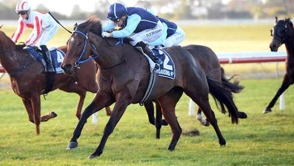 Right time, right place for Gibbs