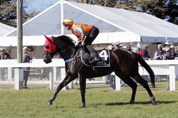 Imperatriz impresses with Taupo trial
