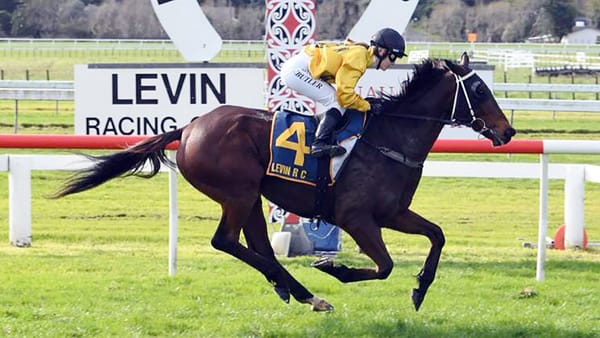 Allen ready for Awapuni test