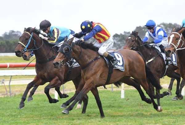 Fahy trains first winner