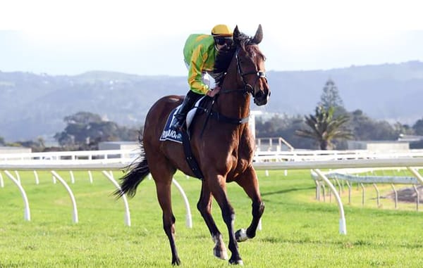 McKee looking for ideal training debut