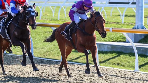 New recruit heading to Oamaru