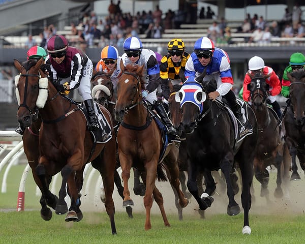 NZB Insurance Pearl Series Revamped by Entain & NZTR