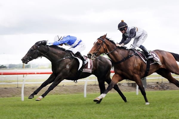 Sacred Satono up for trip to Sydney