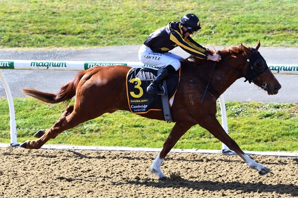 San Simeon sheds maiden tag