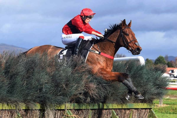 Nelson/McDougal team head to Rotorua