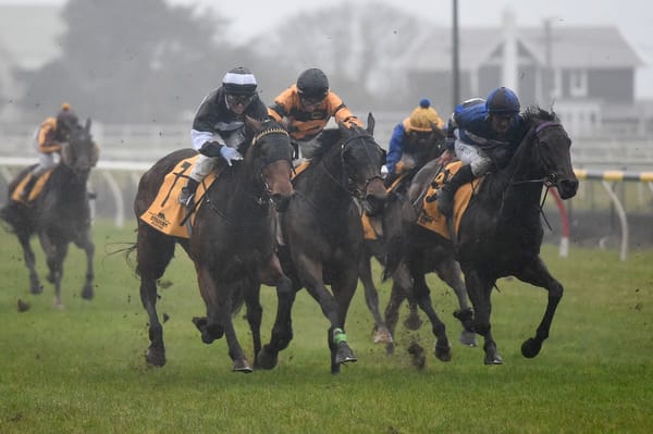 Hawke's Bay colours win Interprovincial